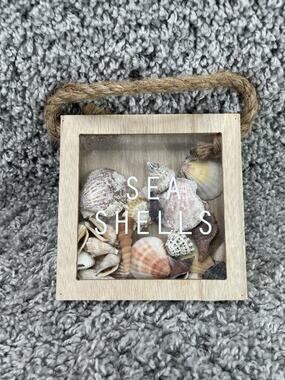 Homemade Seashell Shadow Box Small Hanging Or Freestanding Home Decor